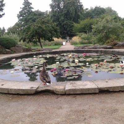 The University of Oxford Botanic Garden